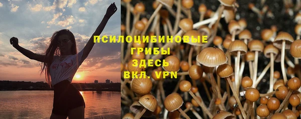 СК Нея