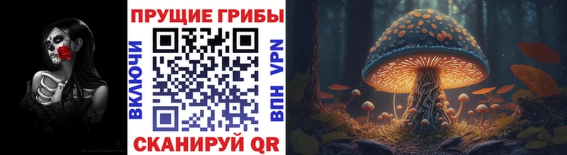 наркота  Короча  мега как войти  Галлюциногенные грибы ЛСД 